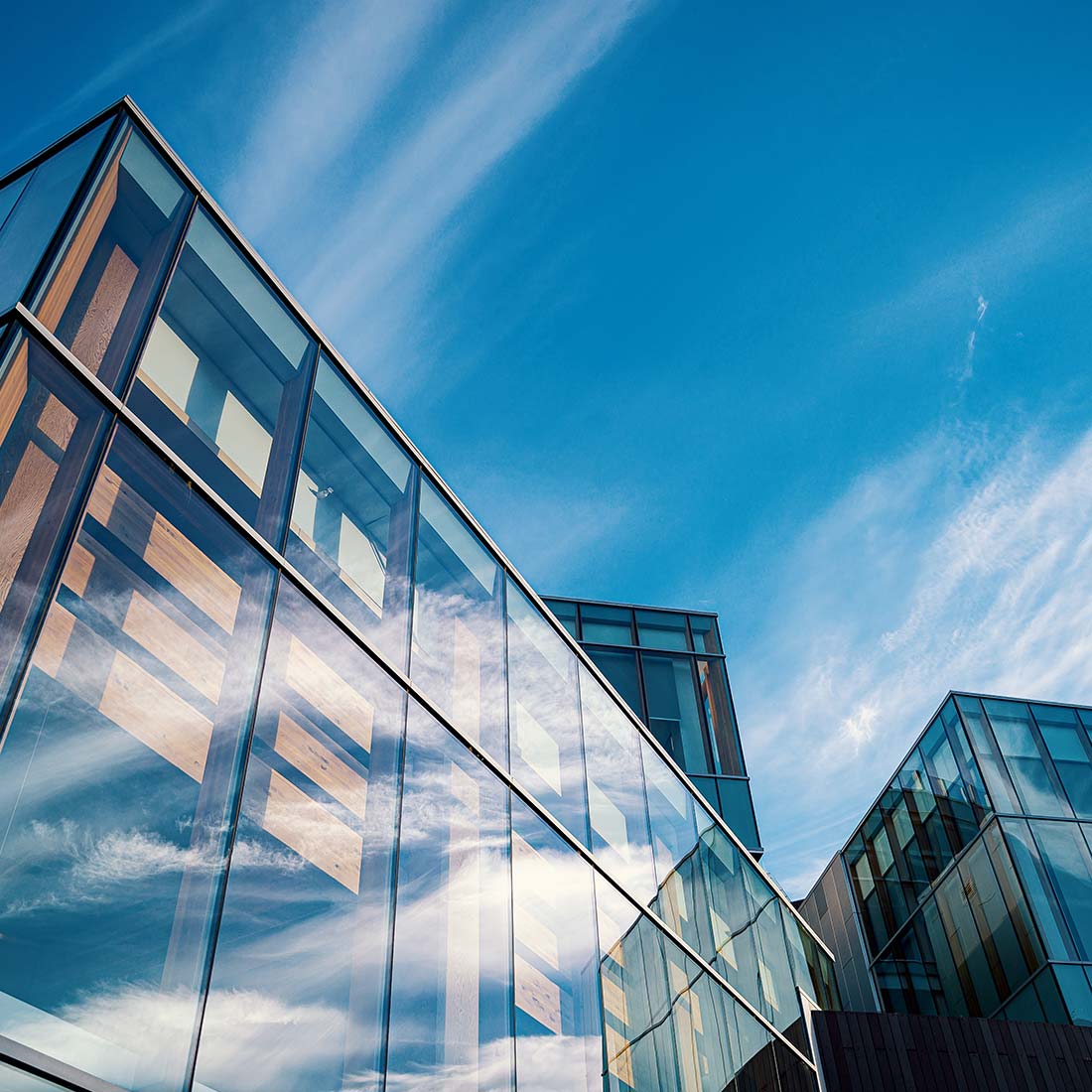 Market Research Analysis Market Research Analysis